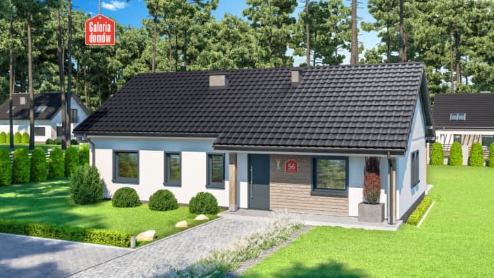 Dom przy Bukowej 56 - wizualizacja 2