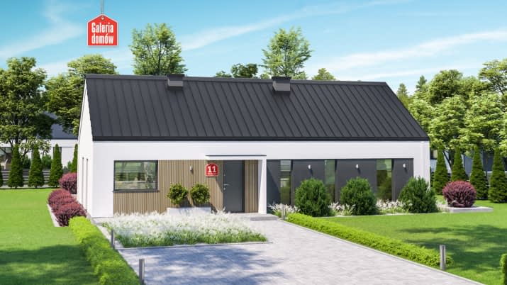 Dom przy Olchowej 11 - wizualizacja 2