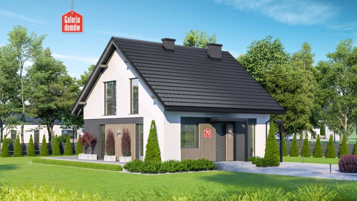 Dom przy Cyprysowej 70 - wizualizacja 2