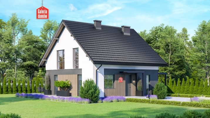 Dom przy Cyprysowej 73 - wizualizacja 2