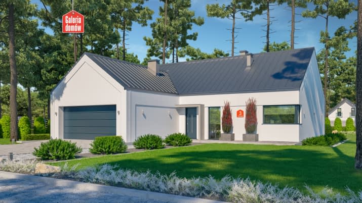 Dom przy Olchowej 3 - wizualizacja 2