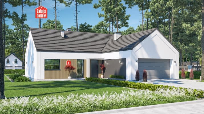 Dom przy Olchowej 5 - wizualizacja 2