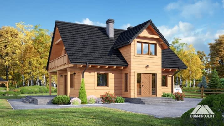 brzoza dws - wizualizacja 2