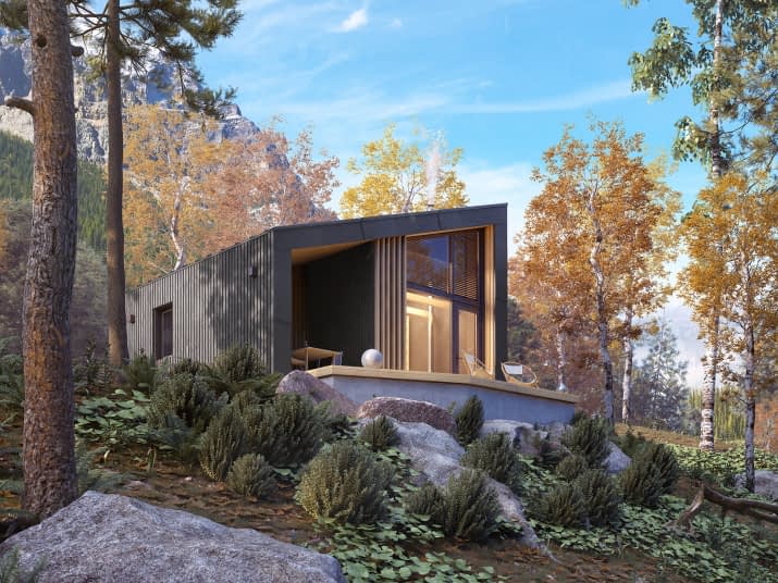 Szyszka 2 dr-S (DR-S) - wizualizacja 2