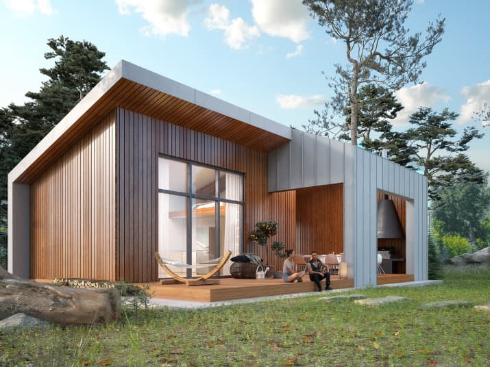 Śmiałek dr-S (DR-S) - wizualizacja 2