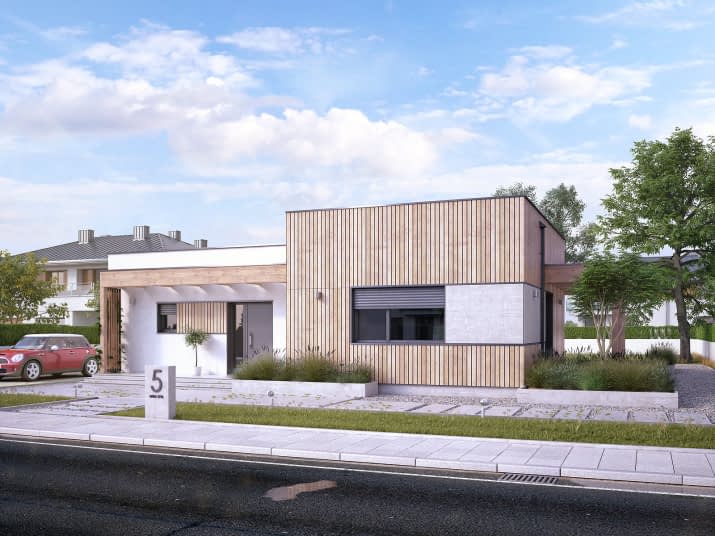 Amika (CE) - wizualizacja 2