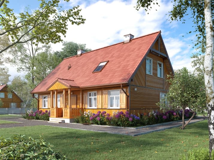 Szpak dr-S (DR-S) - wizualizacja 2