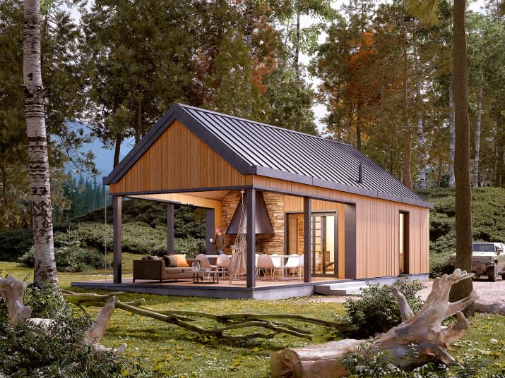 Jaskier dr-S (DR-S) - wizualizacja 2