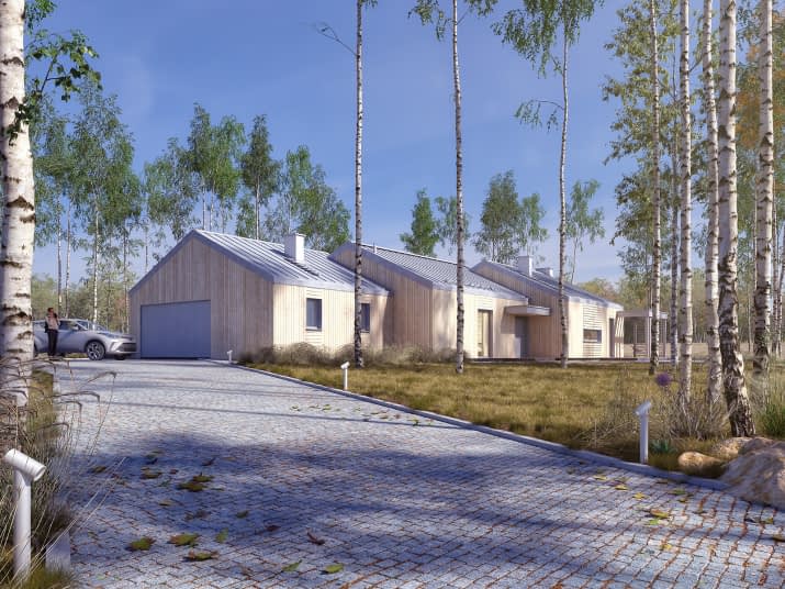 Mokosz (CE) - wizualizacja 2