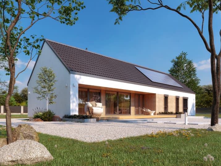 Paproć 5 (PH) - wizualizacja 2