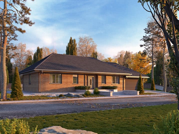 Borówka 7 bal (BAL) - wizualizacja 2