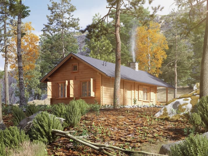 Traper 2 bal (BAL) - wizualizacja 2