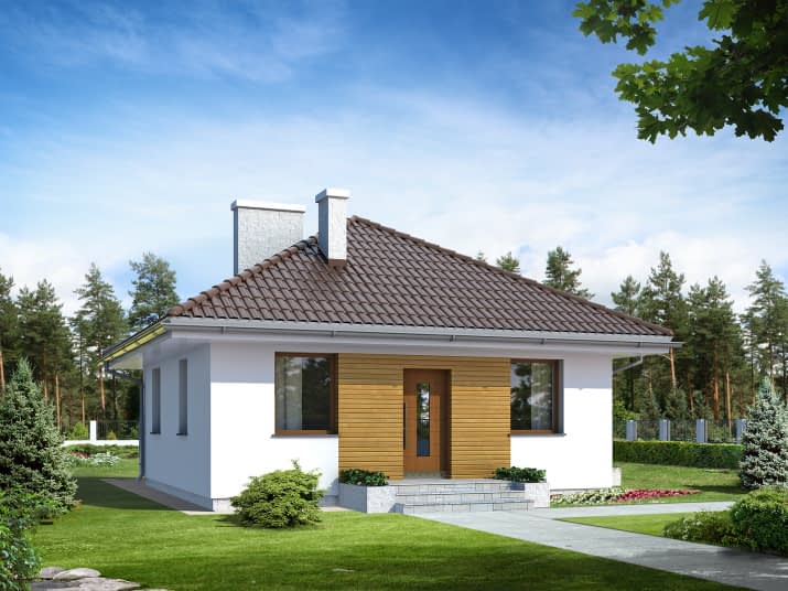 Imbir (CE) - wizualizacja 2