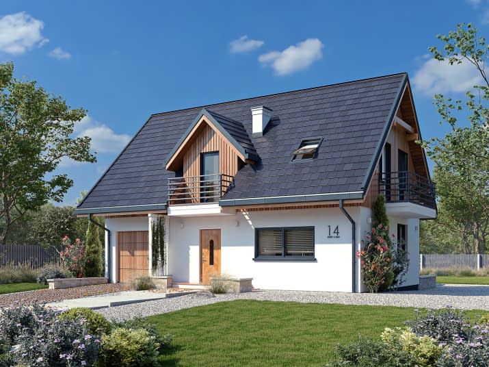 Bielik dr-S (DR-S) - wizualizacja 2