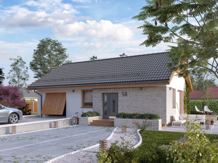 Imbir 2 (CE) - wizualizacja 2