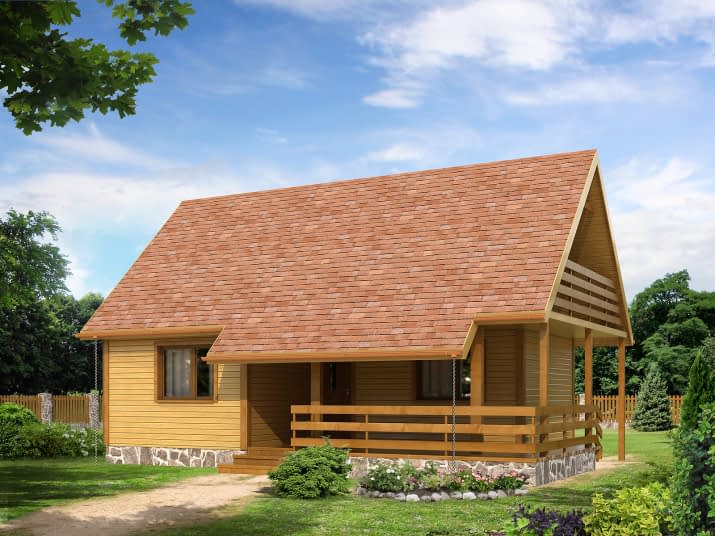 Biedronka dr-S (DR-S) - wizualizacja 2