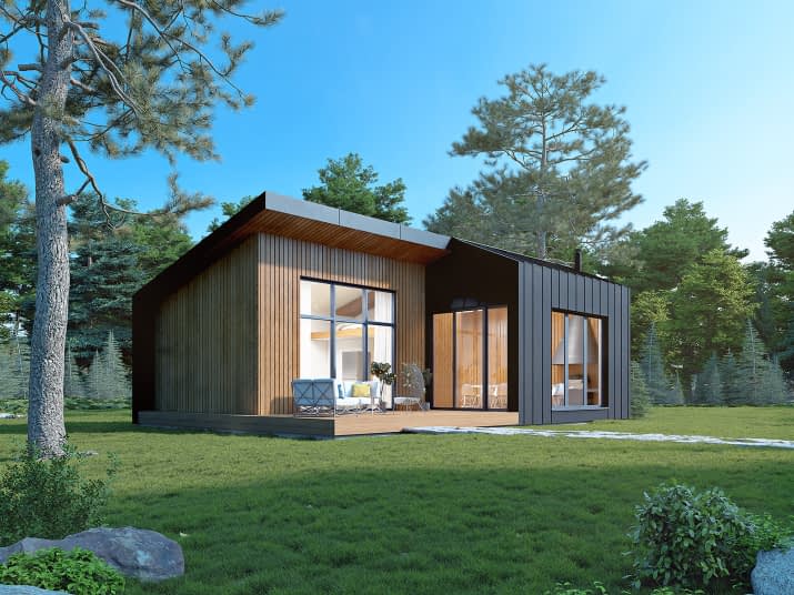 Śmiałek 2 dr-S (DR-S) - wizualizacja 2