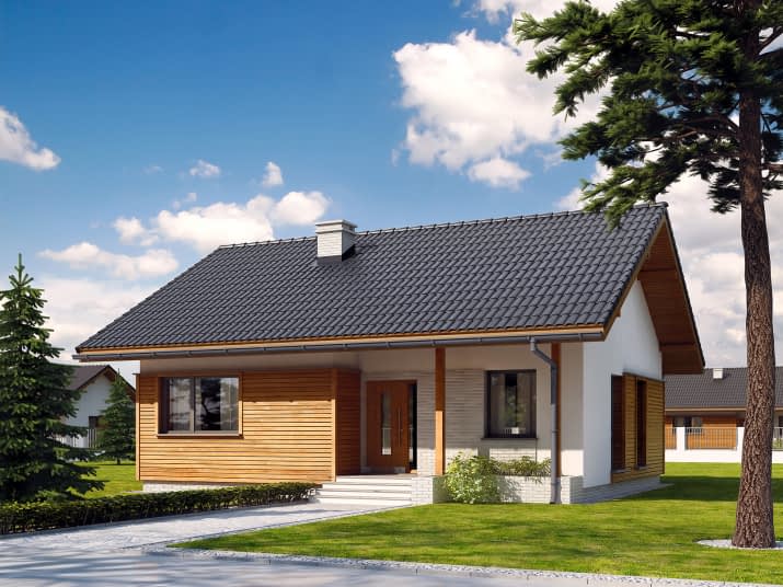 Sepia (CE) - wizualizacja 2