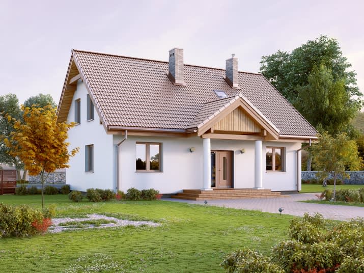 Arion (CE) - wizualizacja 2