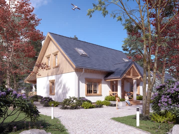 Puszek (KO) - wizualizacja 2