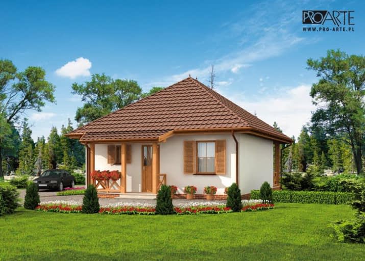 SAN ANTONIO dom letniskowy - wizualizacja 2