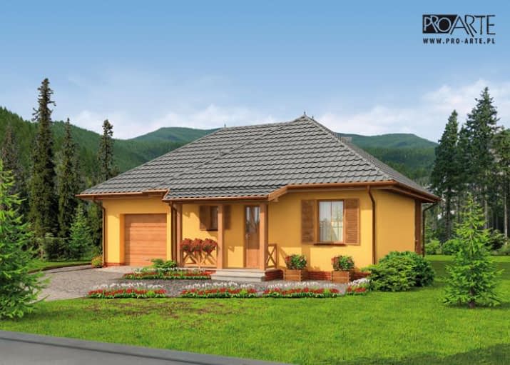 SAN ANTONIO 2 dom letniskowy - wizualizacja 2