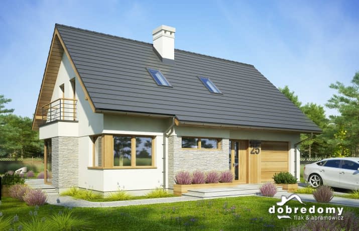 Dalia Nowa - wizualizacja 2