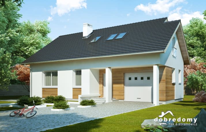 Olimpia - wizualizacja 2