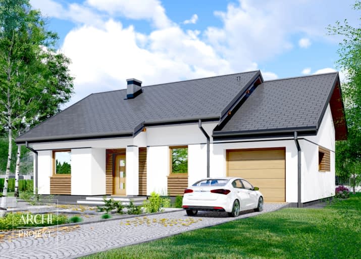 APS 244 wariant 2+G - wizualizacja 2