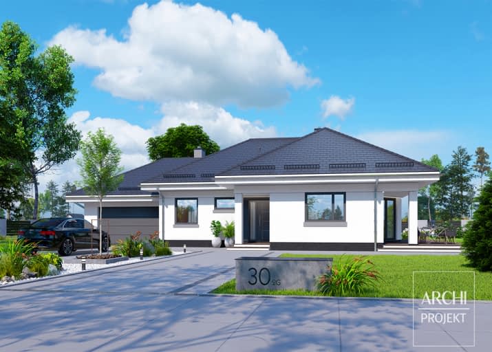 APS 030 + 2G - wizualizacja 2