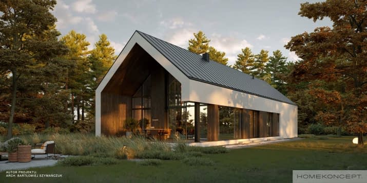 HOMEKONCEPT 117 G1 wariant 01 - wizualizacja 2