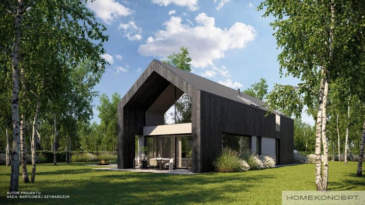 HOMEKONCEPT 114 - wizualizacja 2