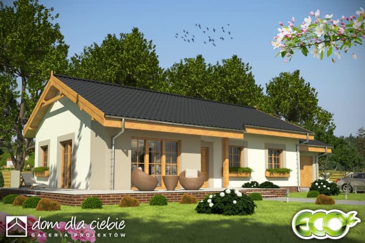 Dawid z garażem - wizualizacja 2