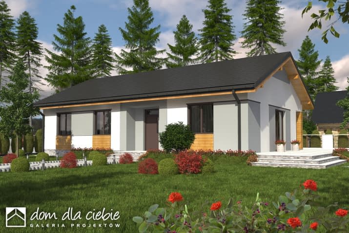 Luna bez garażu - wizualizacja 2