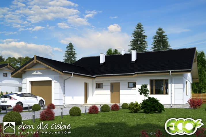 Nasturcja z garażem - wizualizacja 2