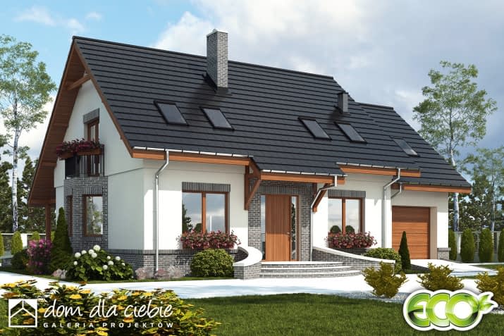 Dom Dla Ciebie 2 w2 z garażem - wizualizacja 2