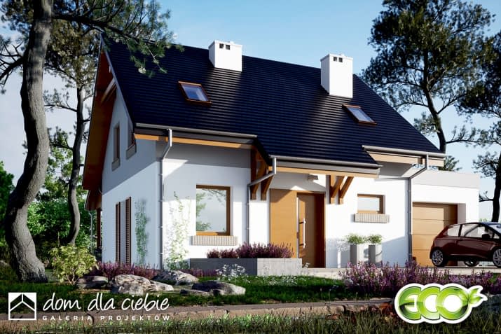 Daktyl z garażem - wizualizacja 2