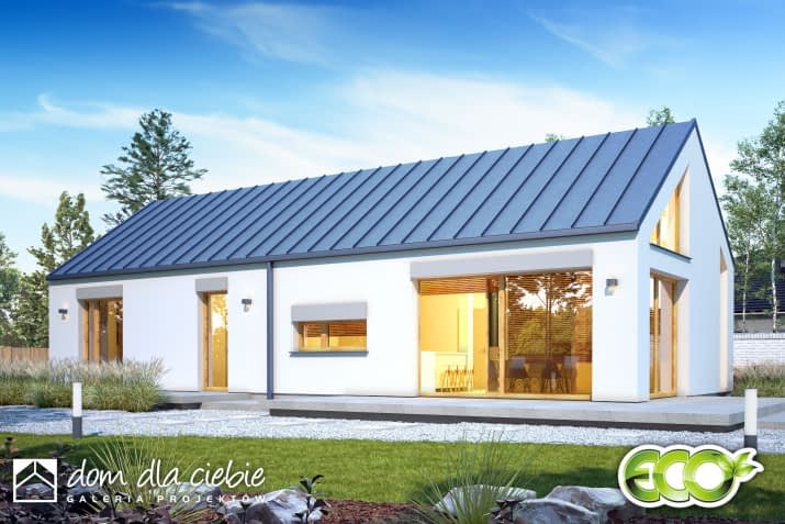 Natan IV - wizualizacja 2