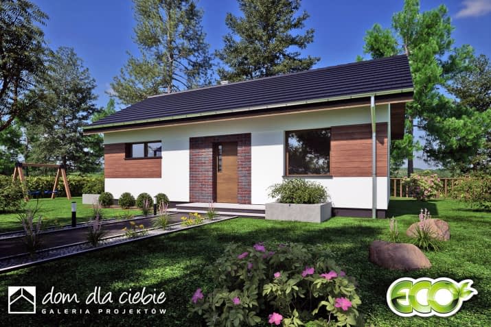 Nika - wizualizacja 2