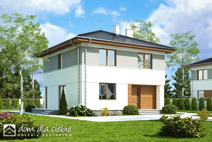 Tadeusz III - wizualizacja 2