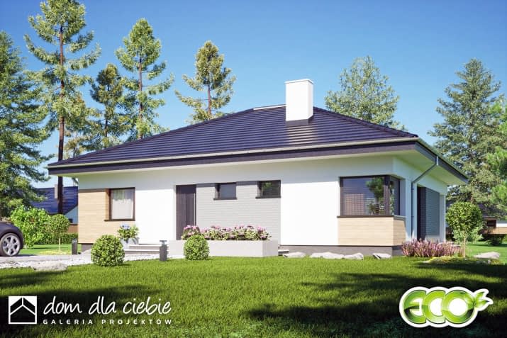 Topaz - wizualizacja 2