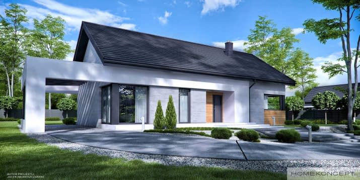HOMEKONCEPT 45 - wizualizacja 2