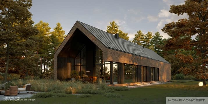 HOMEKONCEPT 117 G2 wariant 01 - wizualizacja 2