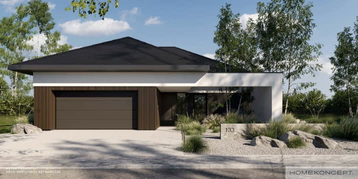 HOMEKONCEPT 133 - wizualizacja 2