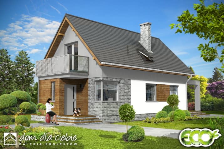 Iza trend - wizualizacja 2