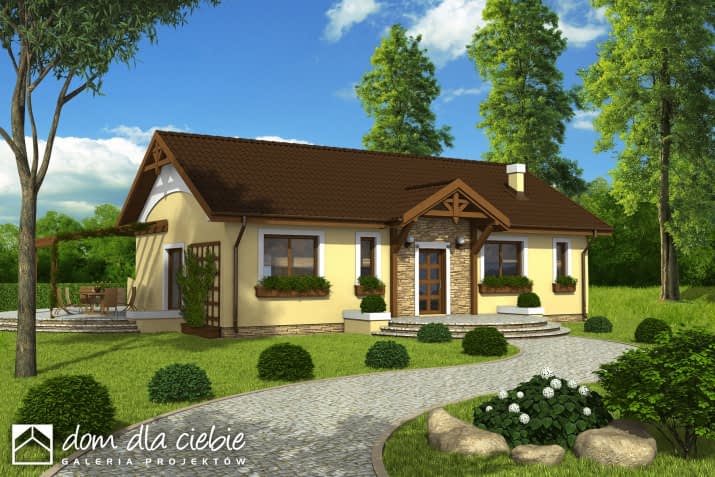 Piotr bez garażu - wizualizacja 2