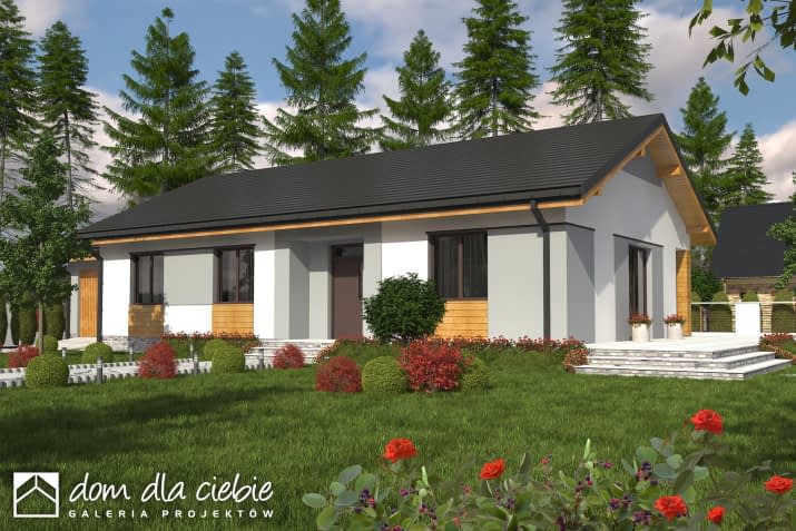 Luna z garażem - wizualizacja 2