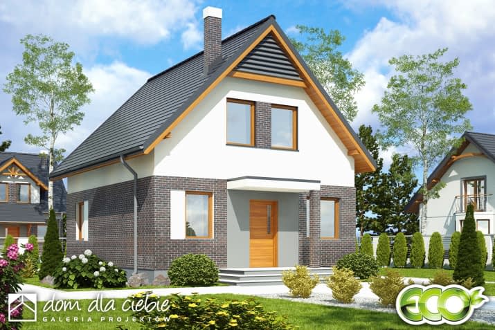 Ala - wizualizacja 2