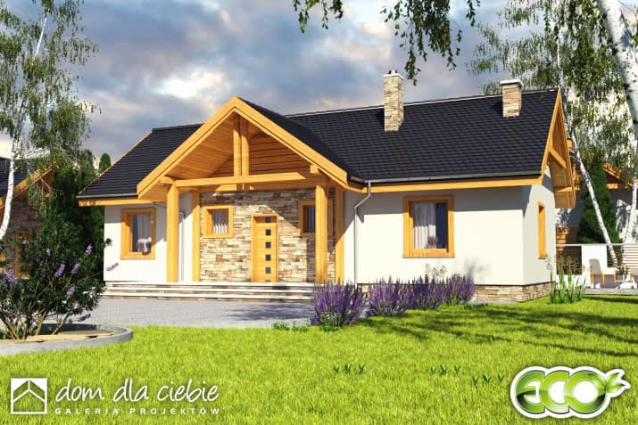 Modraszka - wizualizacja 2