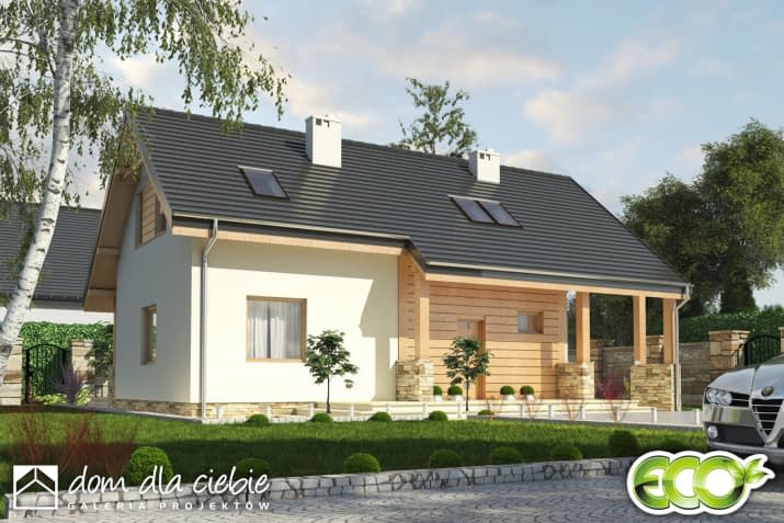 Wydrzyk z wiatą - wizualizacja 2